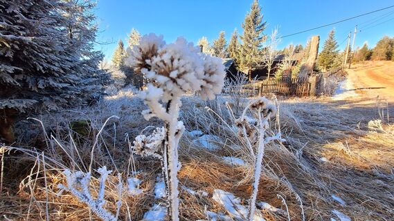 Fotografie de la Regina Fleischmann de-a lungul turului