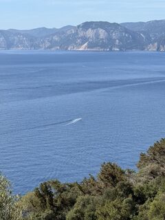 Fotografija s spletne strani vdmerwe na poti