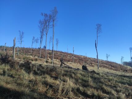 Fotografija s spletne strani Làszló Visi na poti