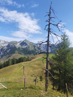 Fotografija s spletne strani Sabine Martha Berger na poti