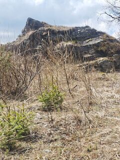 Fotografija s spletne strani Sabine Kriebernegg na poti