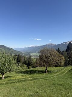 Fotografija s spletne strani Bert Wijshoff na poti