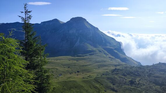 Foto de Ivana Kostic a lo largo del recorrido