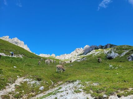 Fotografie z Gianni Varutti na trase