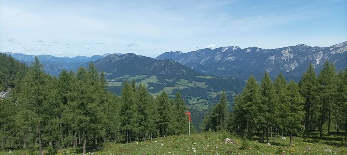 Foto von Cornelia Bruckner-Holzer entlang der Tour