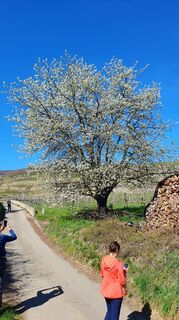 Foto von Egon Anselm entlang der Tour