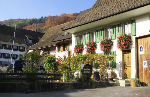 Zeiningen, Weinbau Haus