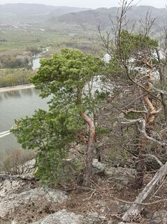 Fotó a Gerhard Piglmann honlapról a túra során