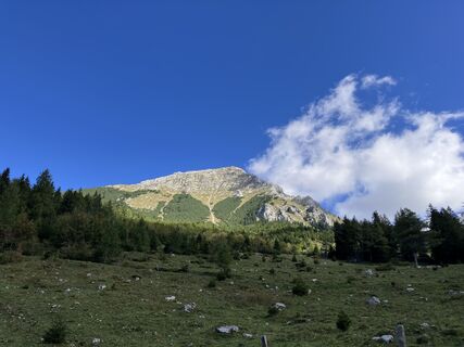Photo de A Aichinger 1 le long du parcours