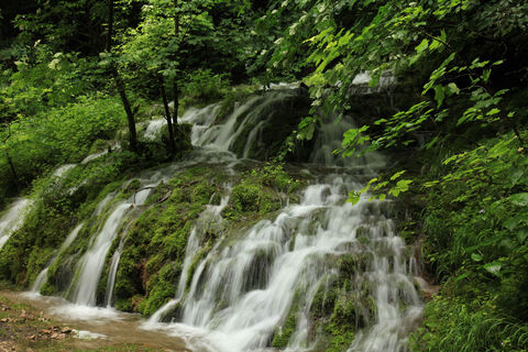Zemljevid