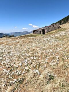 Zdjęcie z Daniel (Rustico) wzdłuż trasy