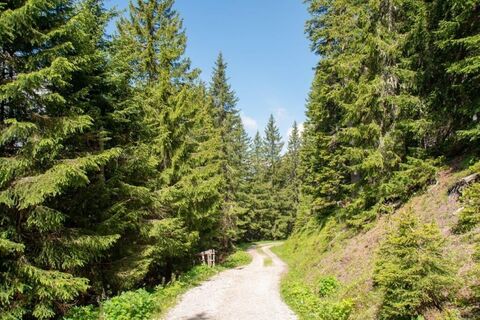 hier kommen wir aus dem Wald und gehen rechts, der Markierung weiter