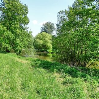 Lahn bei Buchenau