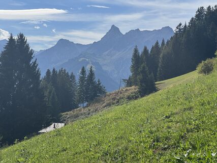 Fotografija s spletne strani Jeroen na poti