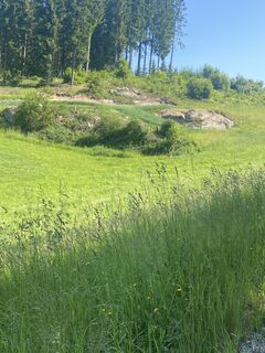 Fotografia z Renate Bernhard 1 na trase