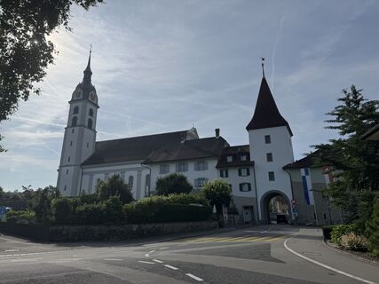 Foto från Reto Griner under resans gång