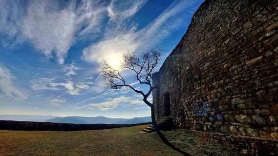 Foto van Regina Fleischmann langs de tour