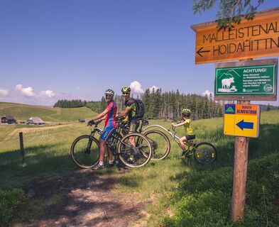 Auf der Malleistenalm lädt die Halterhütte zur Rast ein.