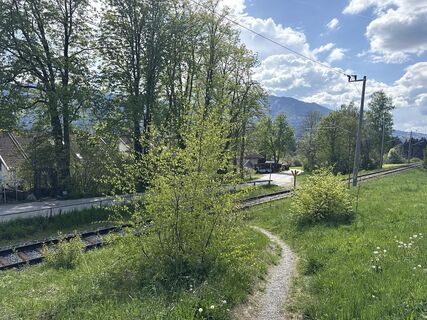 Foto von Similaun entlang der Tour