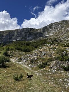 Fotografija s spletne strani Agnieszka pisarska na poti