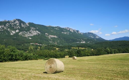 Foto von Christiane Tillian entlang der Tour