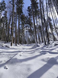 Foto von Edith K. entlang der Tour