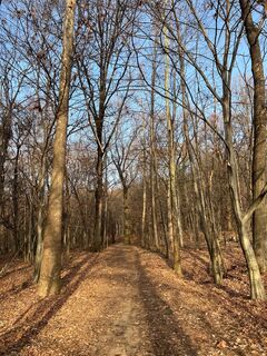 Zdjęcie z Dazza wzdłuż trasy