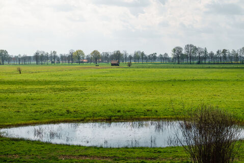 Oppenweher Moor
