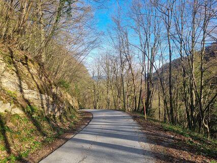 Fotografie z Grizli na trase