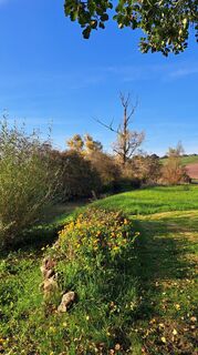 Photo de Jlhofbauer le long du parcours