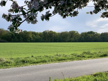 Foto von Thomas Clemens entlang der Tour