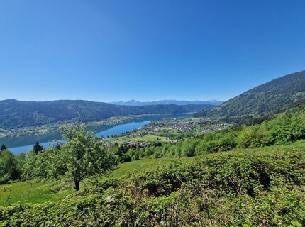 Photo de Michael Forstner le long du parcours