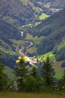 Feldberg
