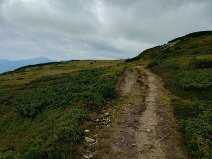 Zdjęcie z Tasurinki Mitote wzdłuż trasy