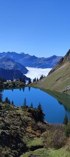 Fotografija s spletne strani Ineswanki na poti