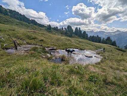 Foto von Benjamin Bergmann entlang der Tour