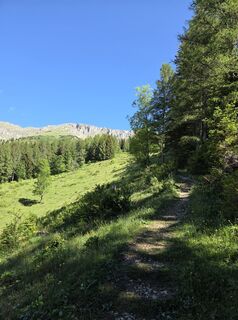 Photo de Stefan Haller 4 le long du parcours