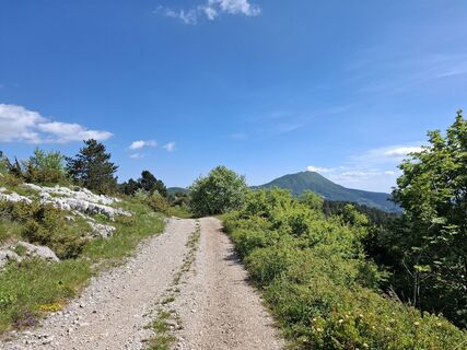 Foto von nordbergschnecke entlang der Tour