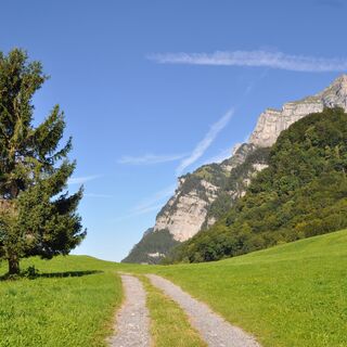 Hochebene Engen - der höchste Punkt des Trails