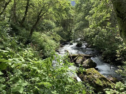 Foto von Koen De Wit entlang der Tour