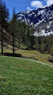 Foto von Fabrizi Mellano entlang der Tour