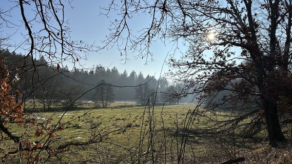 Photo de Matthias G74 le long du parcours