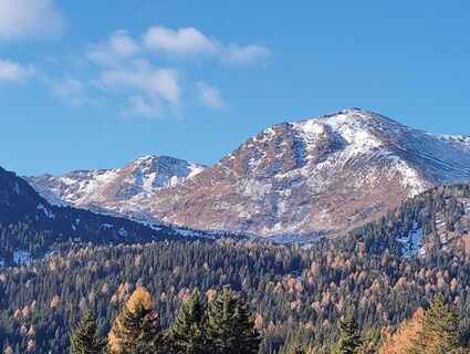 Foto von Albert Grillitsch entlang der Tour