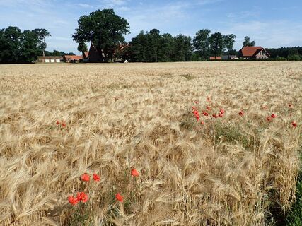 An der Klosterpforte in Bersenbrück