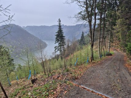 Foto von josef duermoser entlang der Tour