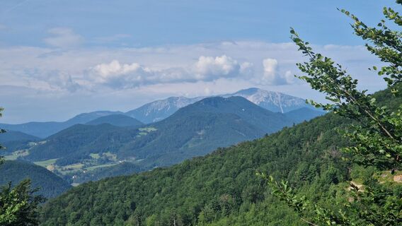 Fotografija s spletne strani EP87 na poti