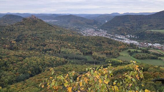 Foto von Katja Senkel entlang der Tour