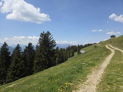 Fotografia z Gerhard Mild 1 na trase