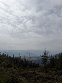 Fotografia z Mandy Friedrich na trase