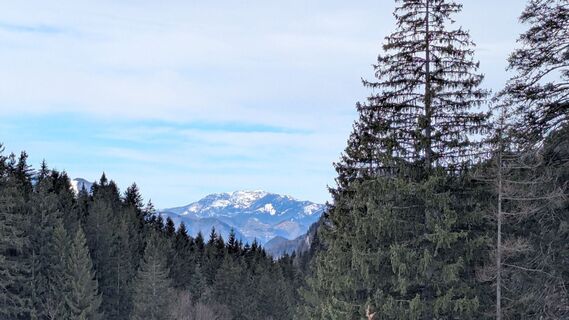 Kuva osoitteesta Ziegler Em1304 matkan varrella